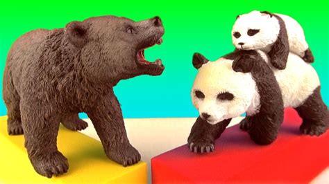 Wild Animals Grizzly Polar Bear Sun Bear Panda Educational Toys Learn