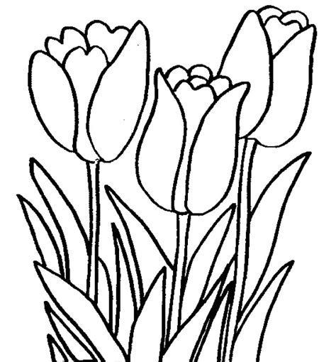 Gambar Untuk Mewarnai Tema Bunga Adzka