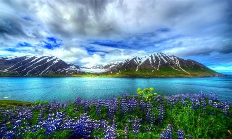 Nature Beautiful Hd Wallpaper Mountain Lake Flowers Sky