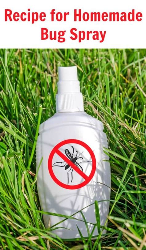 Recipe For Homemade Bug Spray