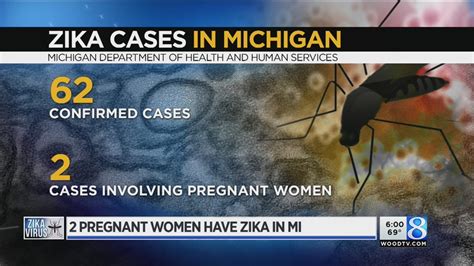 Michigan Zika Cases Rise To 62 Includes 2 Pregnant Women Youtube