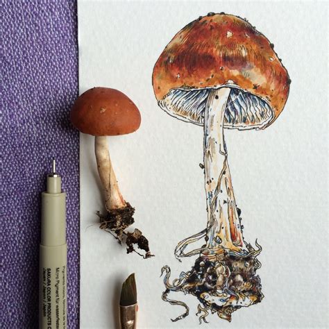 Ink Watercolor Mushroom Art Watercolor Art Botanical Art