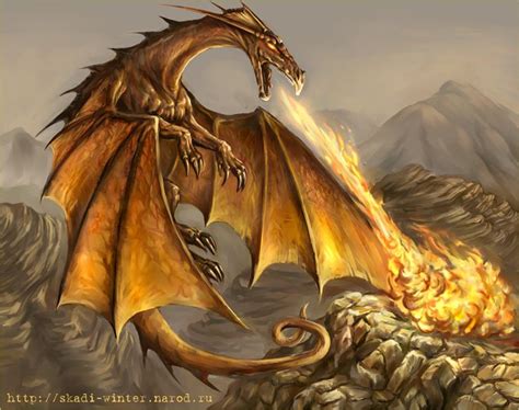 Gold Dragons When Myth Becomes Fact