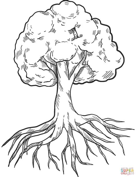 Dibujo De árbol Con Raíces Para Colorear Dibujos Para Colorear