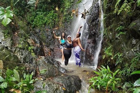 Tripadvisor Small Group Tour El Yunque Rainforest Off The Beaten