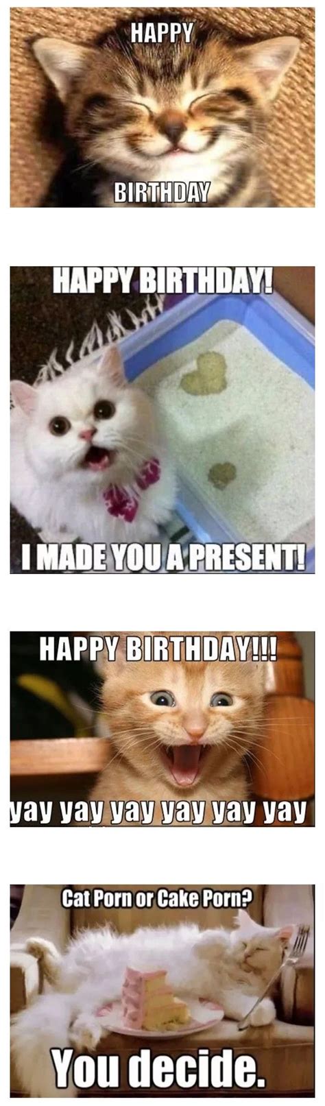 Happy Birthday Meme Cat Cake Captions Funny