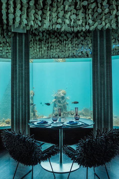 Stunning Underwater Restaurant Lets Guests Dine Next To Ocean Life