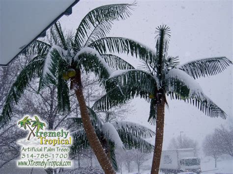 Artificial Palm Tree Outdoor Winter Palm Tree Flickr Photo Sharing
