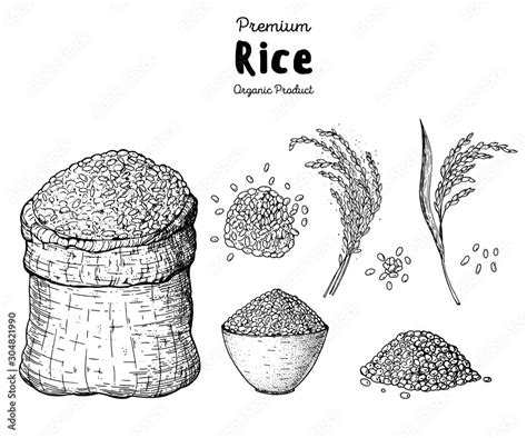Rice Hand Drawn Vector Illustration Bag Of Rice Sketch Packaging