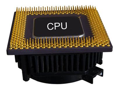 What Is The Difference Between A Cpu And A Processor Techwalla