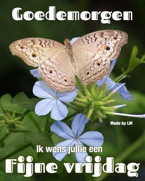 Bekijk meer ideeën over vrijdag, happy vrijdag, goedemorgen vrijdag. ᐅ Vrijdag Plaatjes en Gifs voor Whatsapp (Pagina 3 ...