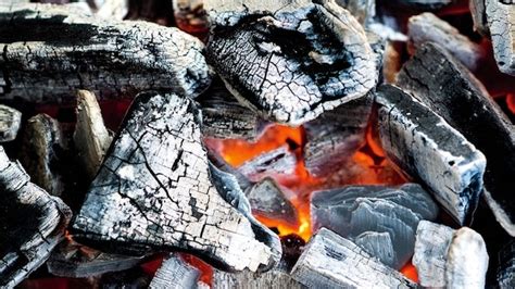Everything You Need To Know About Charcoal From Briquettes To