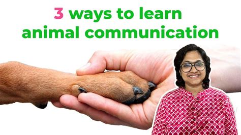 3 Ways To Learn Animal Communication Youtube