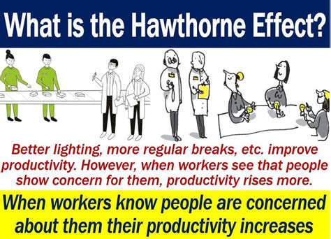 The hawthorne effect was discovered as an outcome of analyzing older experiments that was conducted at the hawthorne works, a factory outside chicago between 1924 and 1932. Hawthorne effect - definition and meaning - Market ...