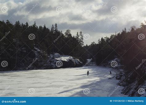 Walking On A Frozen Lake In Sweden Stock Photo Image Of Swedish