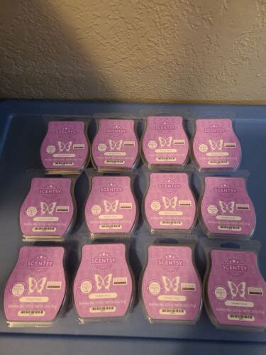 Huge Scentsy Bbmb Bars Lot Of 12 Forever Yours Bars Ships Free Ebay