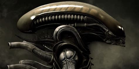 On the set of alien: Alien: Covenant Set Video Shows Xenomorph Being Created