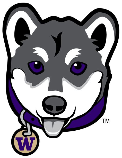 Washington Huskies Logo Misc Logo Ncaa Division I U Z Ncaa U Z