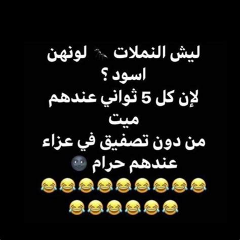 Desertrose ههههه كلام حلو Funny Quotes For Instagram Fun Quotes Funny Movie Quotes Funny