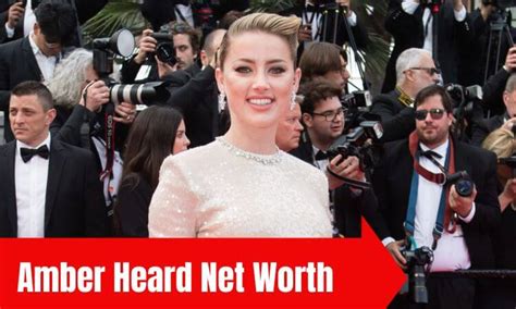 How Much Is Amber Heard Net Worth 2023 Kfanhub