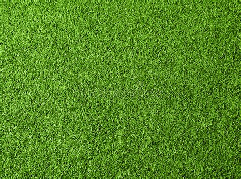 Green Grass Texture Background Top View Stock Photo Image Of Grassy