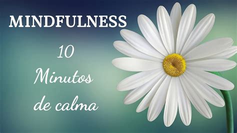 🦋 Meditación Guiada 10 Minutos Mindfulness Atención Plena Para