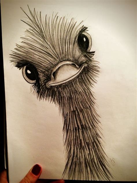 Ostrich Quick Sketch Using Charcoal Pencils Easy Charcoal Drawings