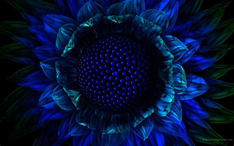 Dark Blue Flowers Wallpaper 16151 Wallpaper Cool