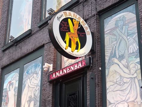 10 best sex shows in amsterdam strippers peep shows lapdance amsterdam red light district