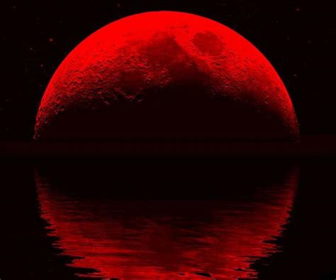 Where will the blood moon be visible? Blood Moon Eclipse Warning | Paranormal Activity Forecast