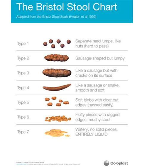 Types Of Poop What Doctors Need You To Know The Healthy At Readers