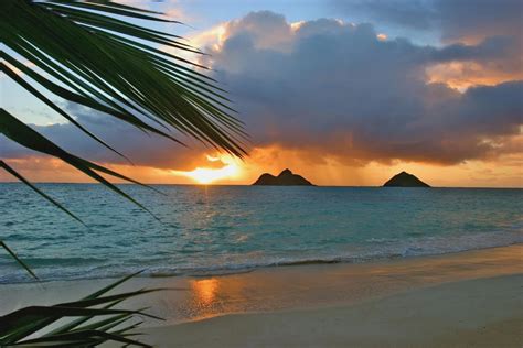 Hawaii Oahu Dramatic Sunrise At Lanikai Beach Mokulua Islands Palm