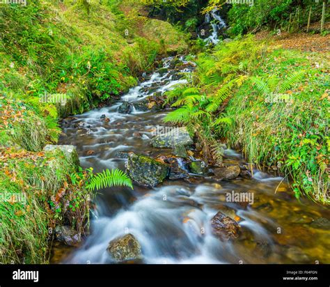 Waterfall Which Flows In To Burrator Reservoir On Dartmoor National