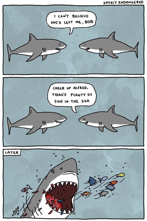 Love Bites When Youre A Shark Shark Jokes Shark Humor Misunderstood