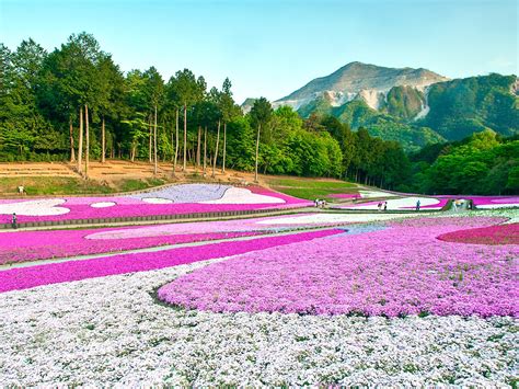 Top Most Beautiful Places To Visit In Japan Global Vrogue Co