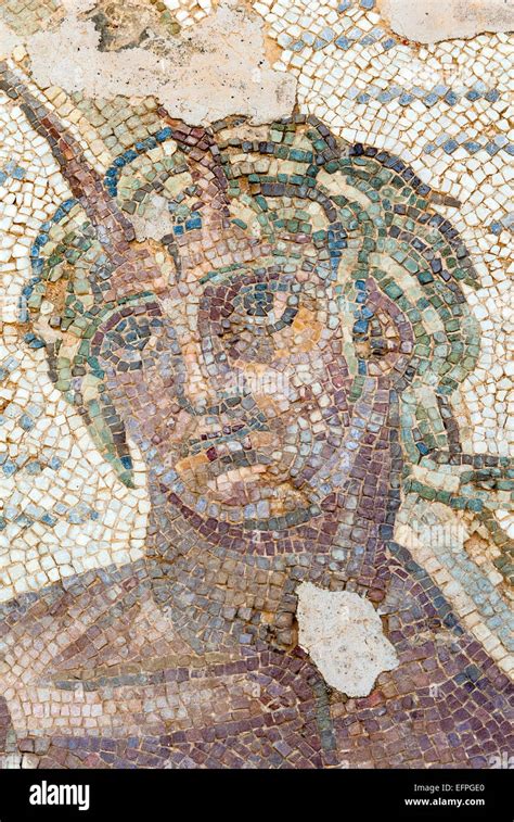 Roman Mosaic Carthage National Museum Byrsa Hill Carthage Unesco