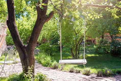 Outdoor Tree Swings For Adults What You Need To Know Games And Play