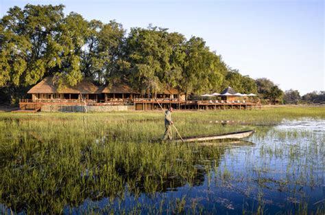 Chief S Camp Chief S Island Moremi Game Reserve