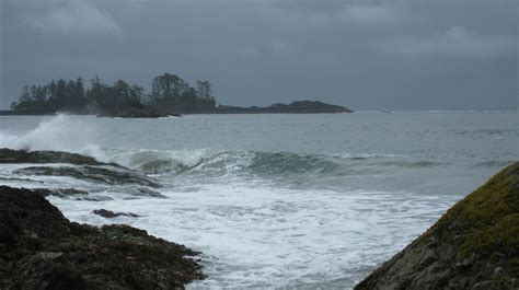 Storm Watching In Tofino Paramount Travel Guided Group Bus Tours