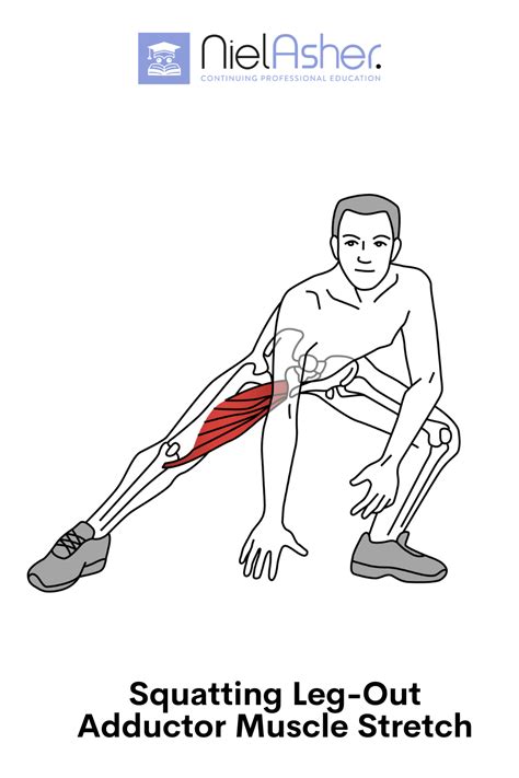 Hip Adductor Groin Stretch Muscle Stretches Muscle Stretches