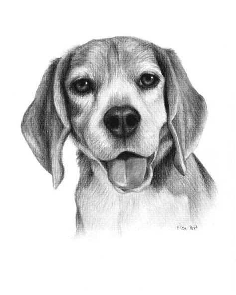 Custom 11 X 14 Inch Dog Portrait Puppy Drawing Colored Pencil Drawing