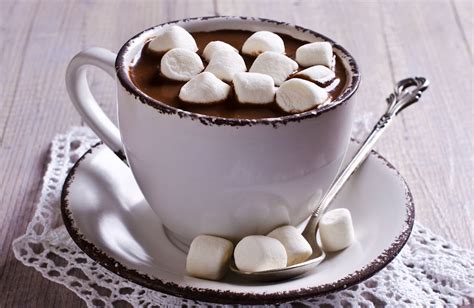 Maybe you would like to learn more about one of these? Dark Chocolate Hot Cocoa Recipe | SparkRecipes