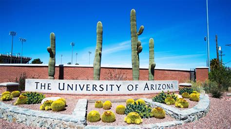 University Of Arizona Employees Concerned About Return To Campus