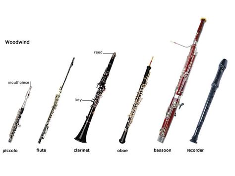 Parts Of A Flute The Recorder Is Woodwind Instrument And Is Part Of