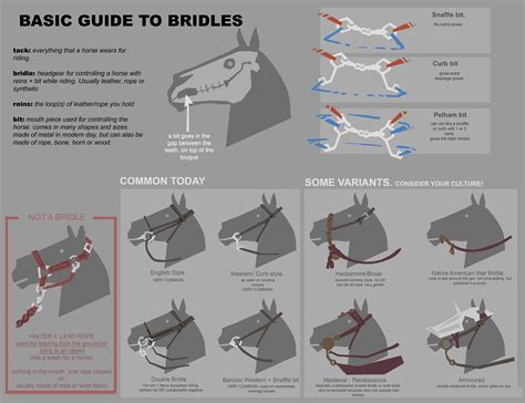 Alice Walsh On Twitter Horses Medieval Horse Bridles