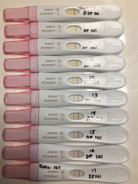 Accumed Pregnancy Test Progression 💖easy At Home Pregnancy Test Line