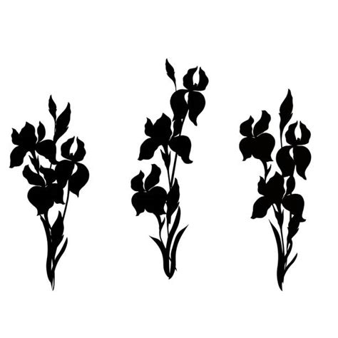 Silhouette Of A How To Draw An Iris Flower Illustrations Royalty Free