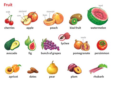 Fruit Noun Definition Pictures Pronunciation And Usage Notes