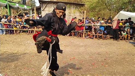 Pencak Silat Bantengan Panji Satrio Mojopahit Live Bareng Talok Dlanggu