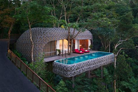 7 Incredible Rainforest Houses You Can Actually Stay In